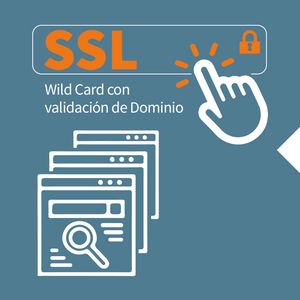 Certificado SSL Wild Card con validación de dominio a 12 meses